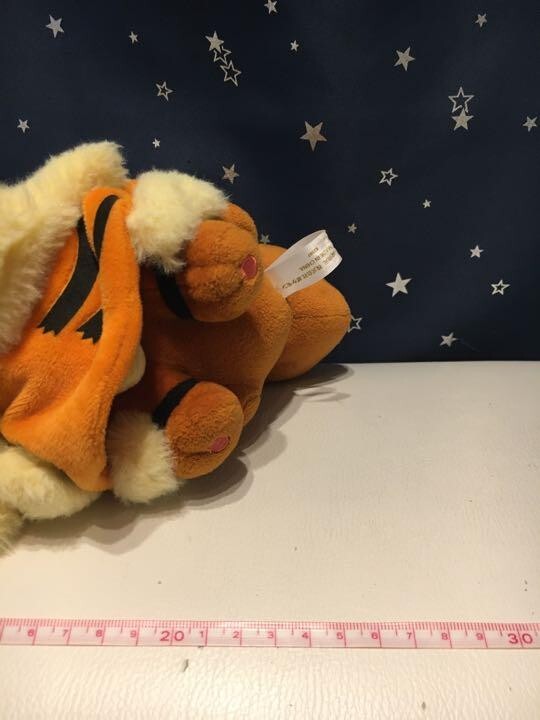 Pokemon Center Japan Okinawa Open Limited Eevee Arcanine Poncho Model Plush Doll - photo 10