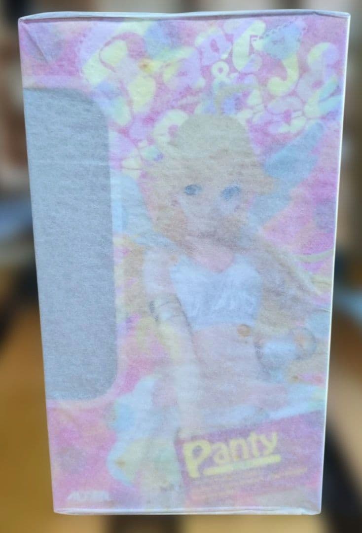 A boxed figure with pastel character art and the name Panty on the front.
