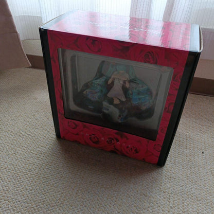 A boxed figure with a pink rose-patterned front and a clear window showing the figure inside.