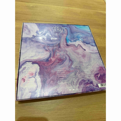 Back of THE YELLOW MONKEY SUPER DOME TOUR box with marbled artwork and track lists on a wooden floor.