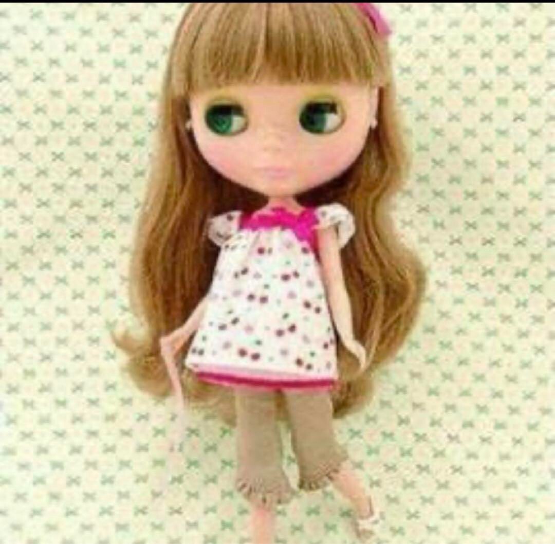 Neo Blythe Doll My Best Friend Chihuahua Dog Carrier Bag 2007 Toy Takara Tomy