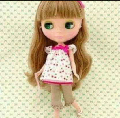 Neo Blythe Doll My Best Friend Chihuahua Dog Carrier Bag 2007 Toy Takara Tomy