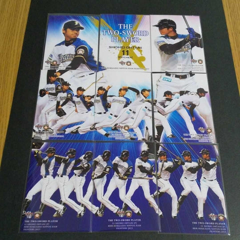 BBM 2013 Shohei Ohtani THE TWO SWORD PLAYER 9 Puzzle set Nippon Ham Fighters