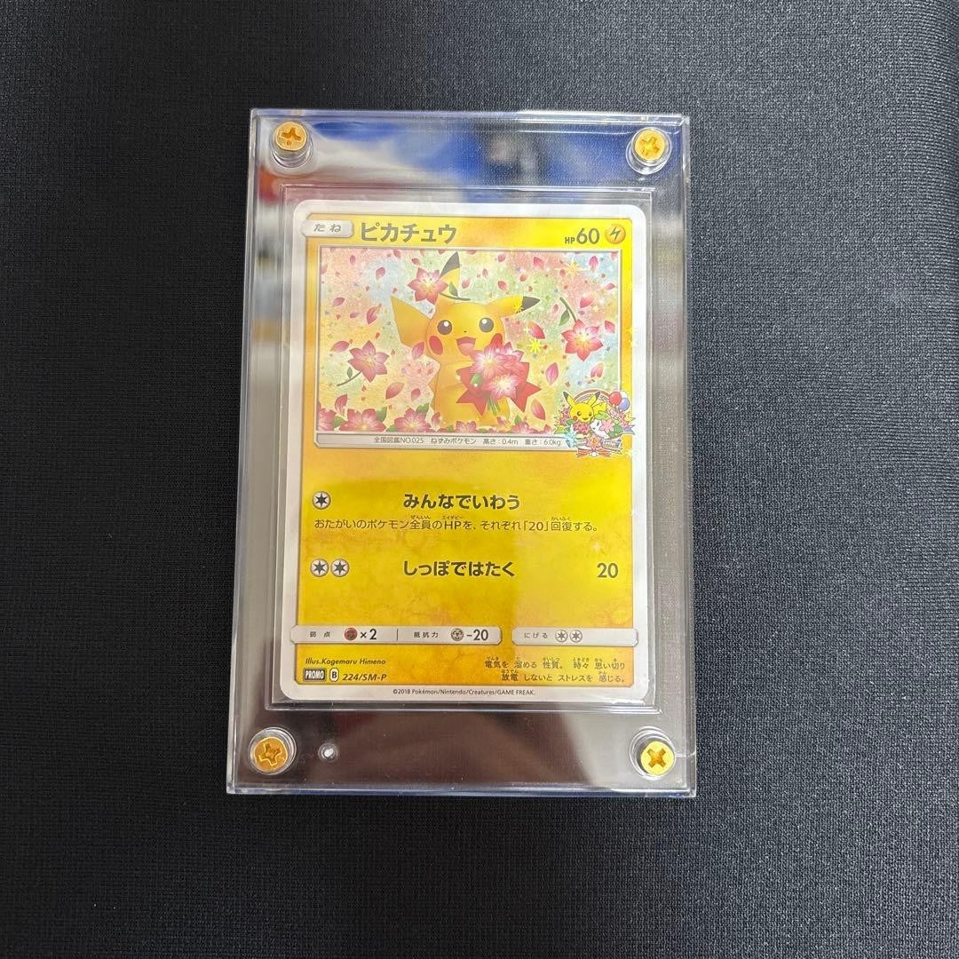 Pokemon Card Game Pikachu 224/SM-P Center 20th Anniversary Promo Limited Hobby - photo 2