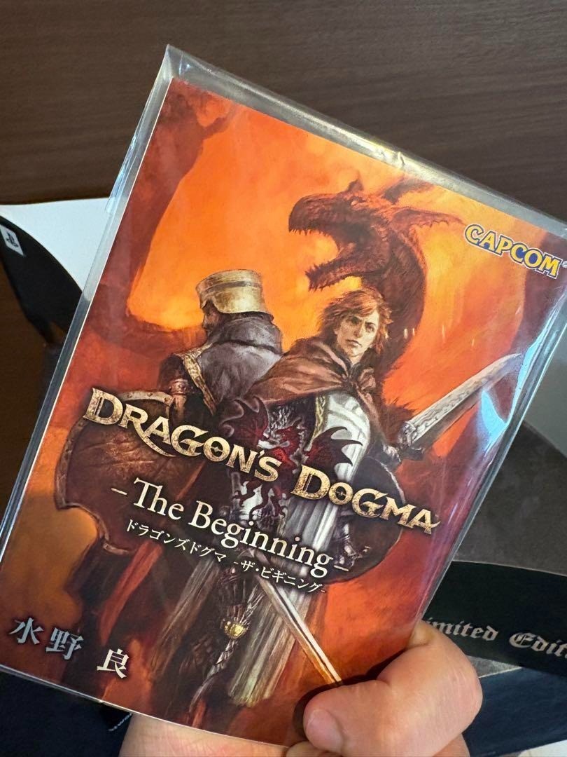 DRAGON'S DOGMA e-Capcom LIMITED EDITION Dragon Statue Figure PS3 Game CAPCOM