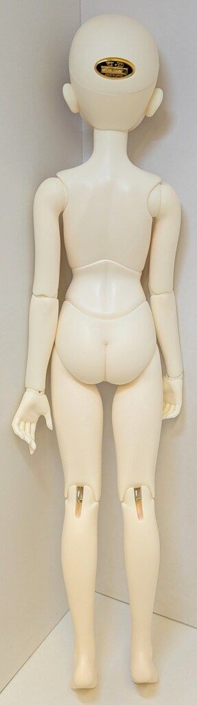 Super Dollfie Girl The Rose of Versailles Marie Antoinette SDGr Doll VOLKS