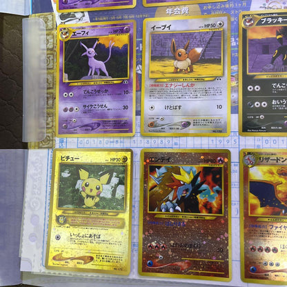 Pokemon Card Neo Premium File Vol. 2 Folder 9 Types Card Set 2000 Blackie VMAX